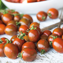 Load image into Gallery viewer, Tomato &#39;Chocolate Sprinkles&#39;
