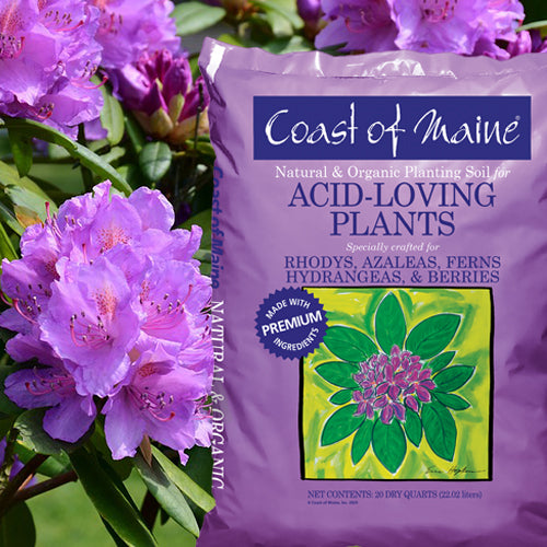 acid loving plants Coast of Maine® Acid Loving Soil – BloomBox