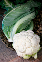 Load image into Gallery viewer, Cauliflower &#39;Twister&#39; - 6 pack
