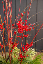 Load image into Gallery viewer, &#39;Winterberry Wonderland&#39; Drop-In Planter
