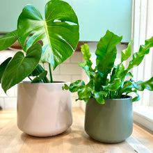 Load image into Gallery viewer, Amber Planter- Matte Green
