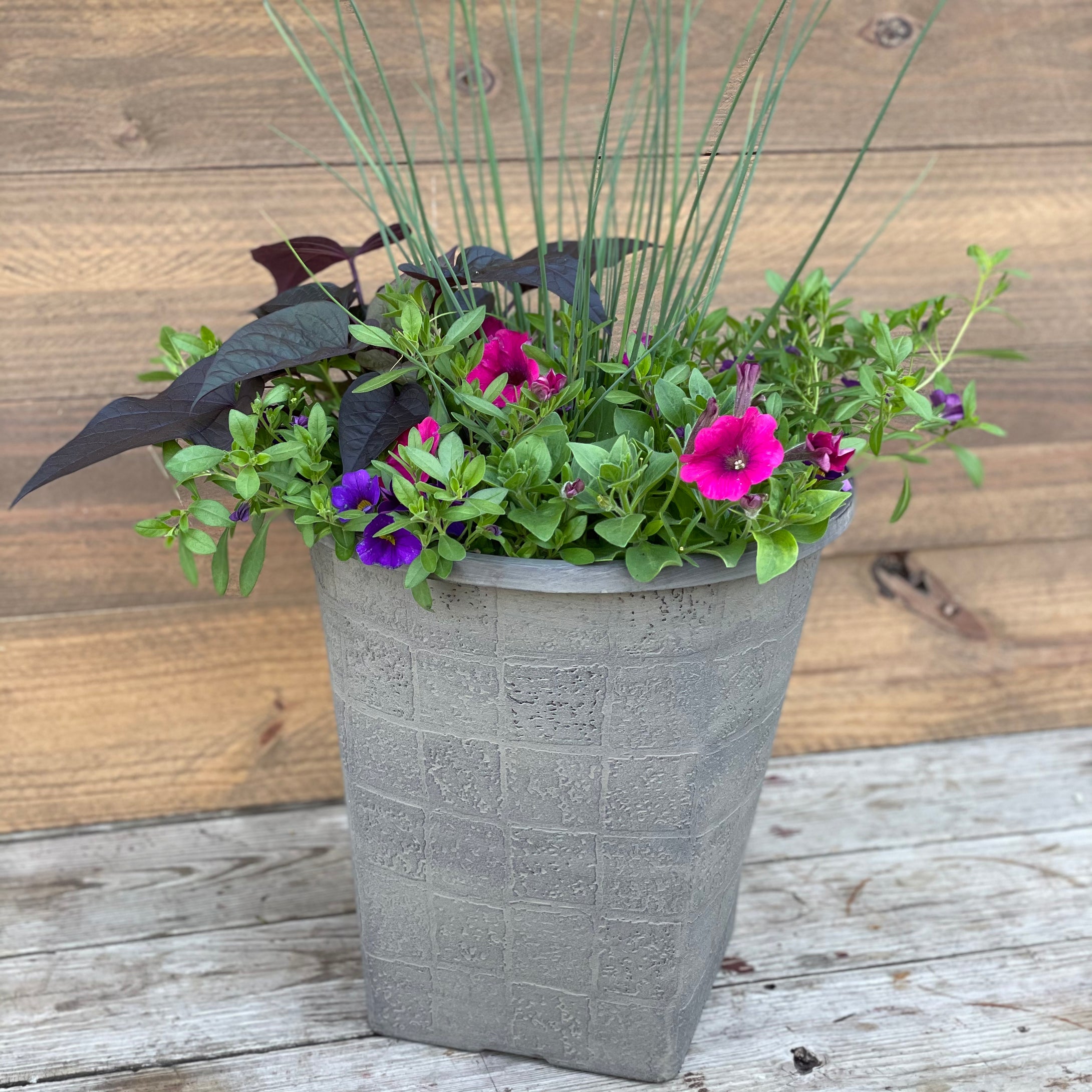 'Gridstone Garden' Planted Container
