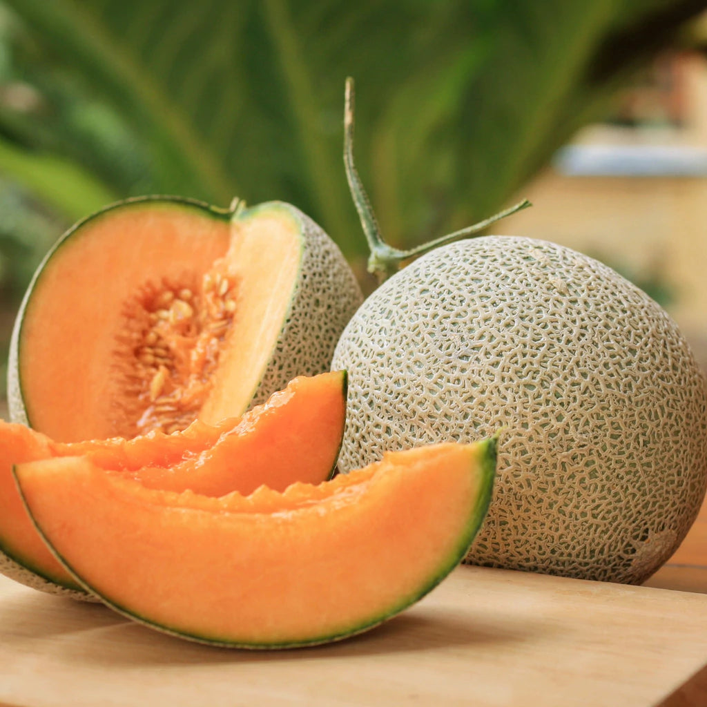 Melon 'Ambrosia'