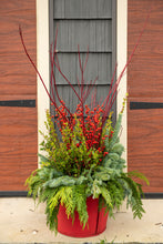Load image into Gallery viewer, &#39;Bountiful Berries&#39; Planter
