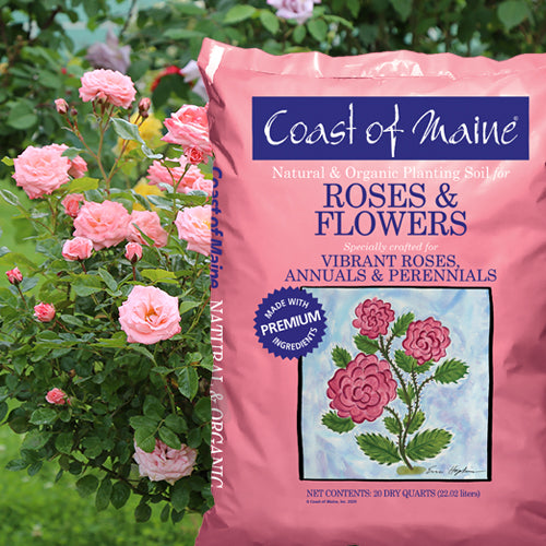 Coast of Maine® Rose & Flower Planting Soil