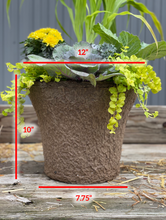 Load image into Gallery viewer, &#39;5 Golden Rings&#39; Drop-In Planter
