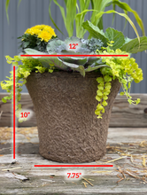 Load image into Gallery viewer, &#39;Golden Magnolias&#39; Drop-In Planter
