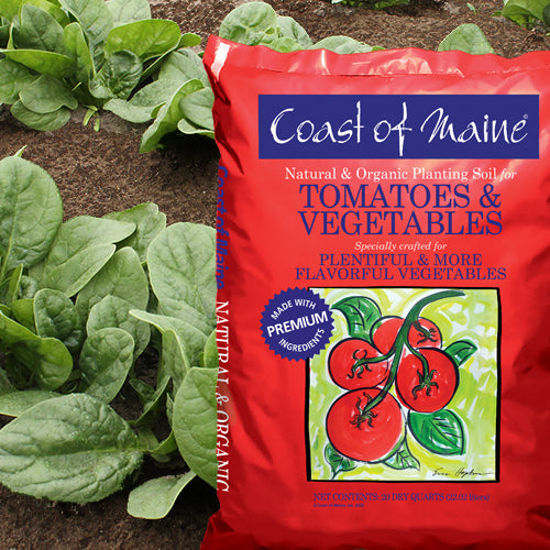 Coast of Maine® Tomato and Vegetable Planting Soil