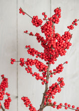 Load image into Gallery viewer, Designer Winterberry Bunch- Black Friday Special
