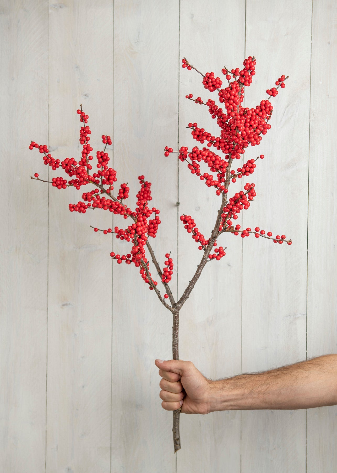 Designer Winterberry Bunch- Black Friday Special