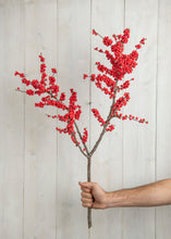 Load image into Gallery viewer, Designer Winterberry Bunch- Black Friday Special
