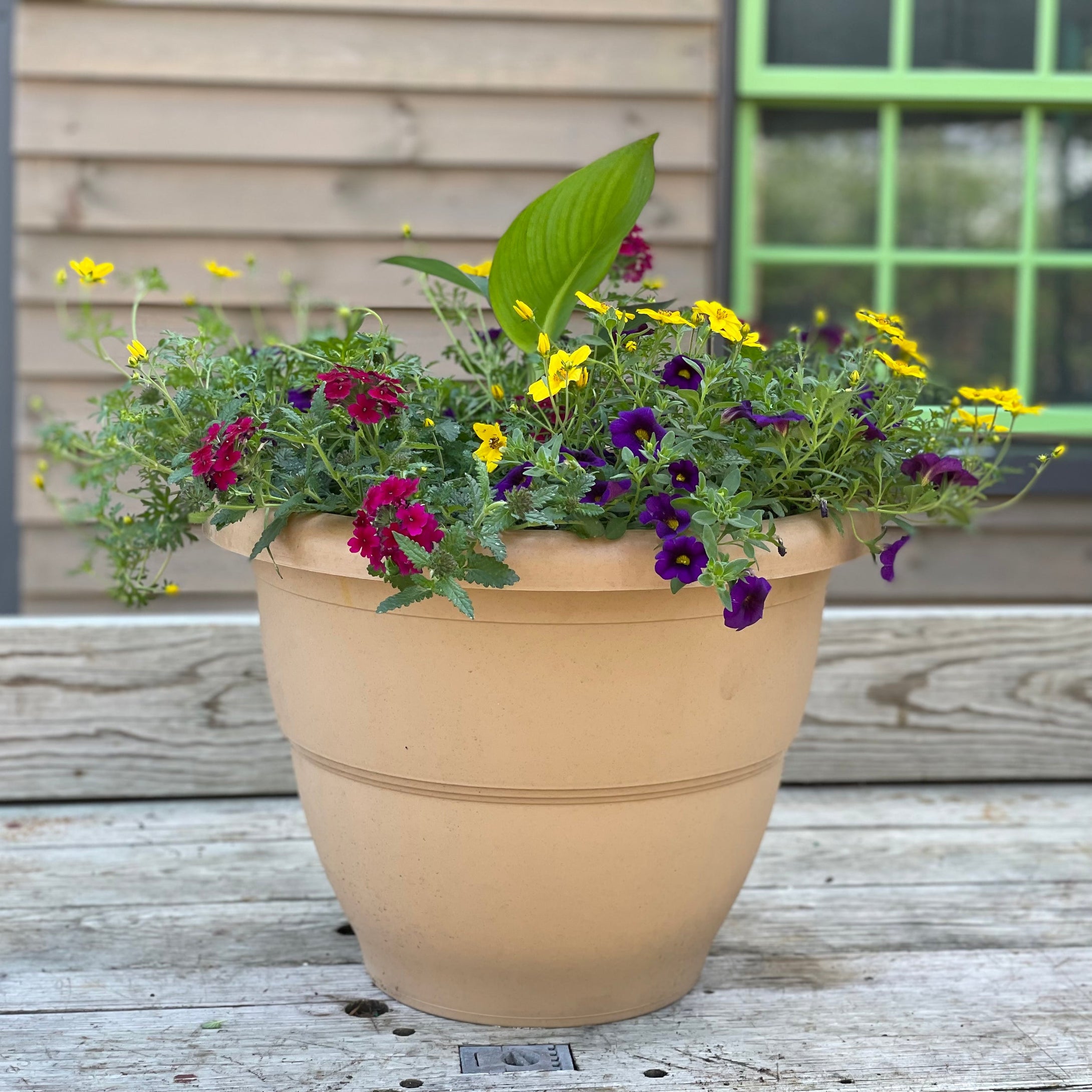 XL Summer Planter- Mixed Annuals