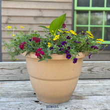 Load image into Gallery viewer, XL Summer Planter- Mixed Annuals
