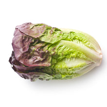 Load image into Gallery viewer, Lettuce &#39;Red Romaine&#39; - 6 pack

