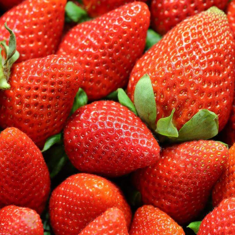 Strawberry 'Allstar'