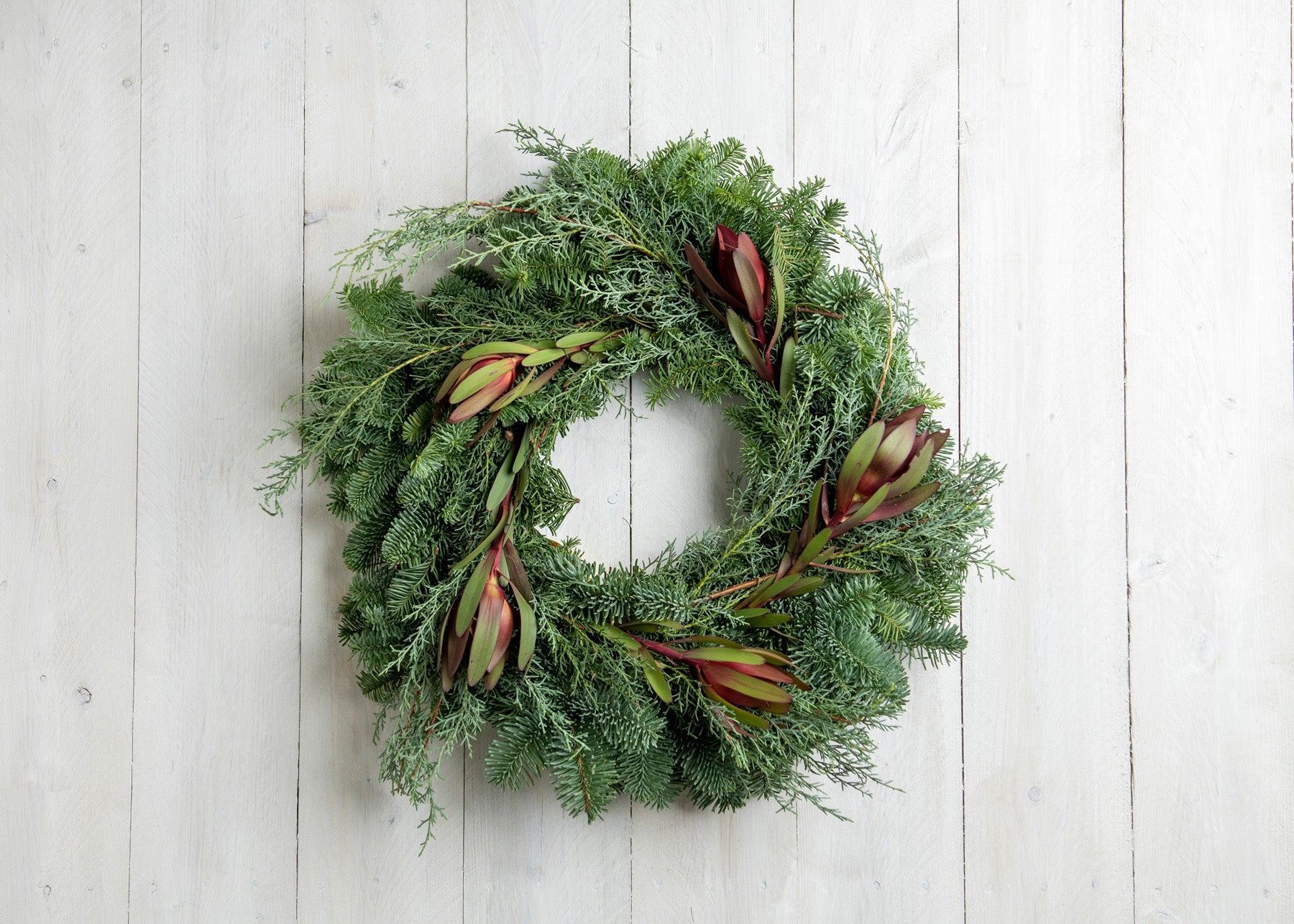 Leucodendron + Sapphire Wreath